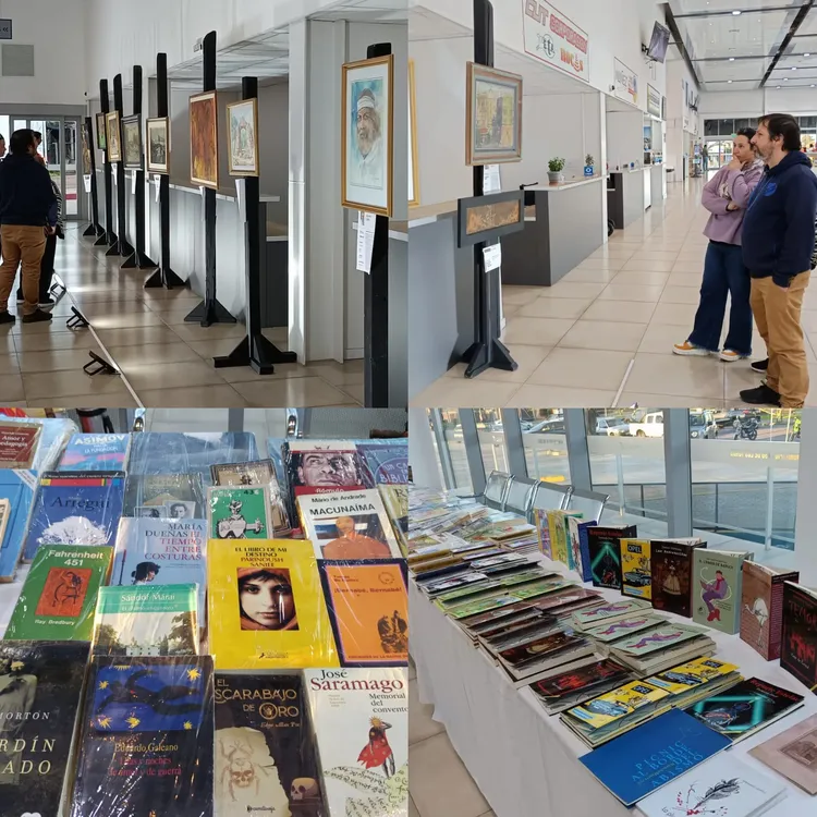 InShot_20240916_141948073