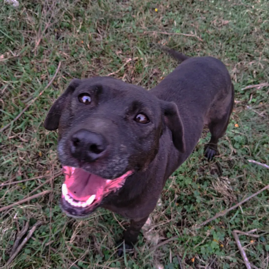 448317087_493860476326383_8751292501961865881_n