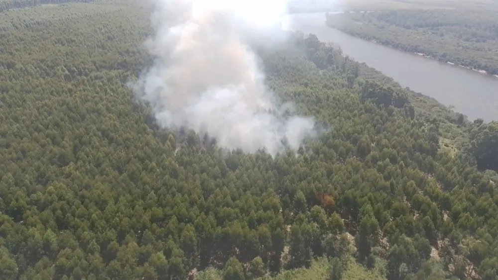 WhatsApp Image 2024-03-04 at 18.50.25