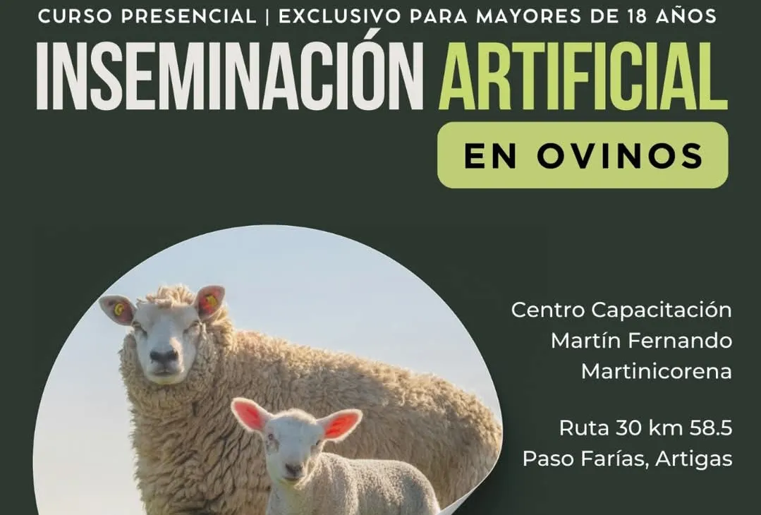 Screenshot_20250114_124042_Facebook