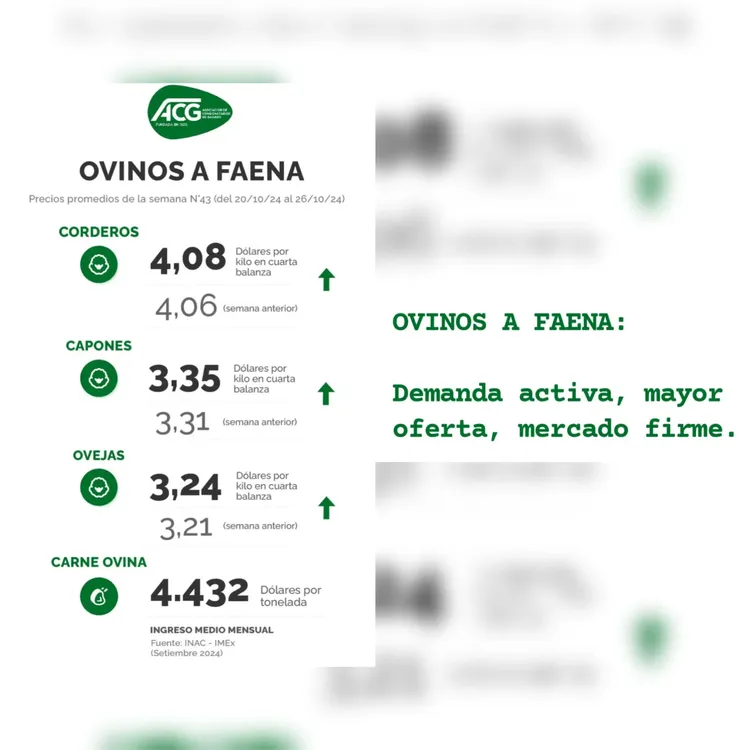 InShot_20241029_173230118