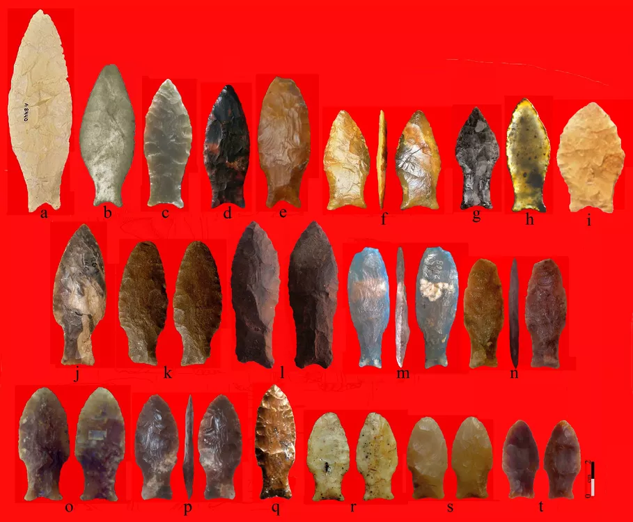 Fig13