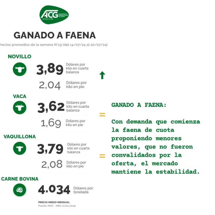 WhatsApp Image 2024-07-23 at 11.08.52