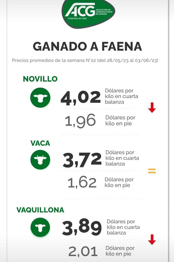 WhatsApp Image 2023-06-06 at 17.13.59