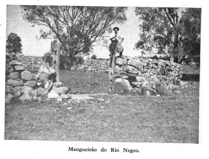 Mangueirao do Rio Negro