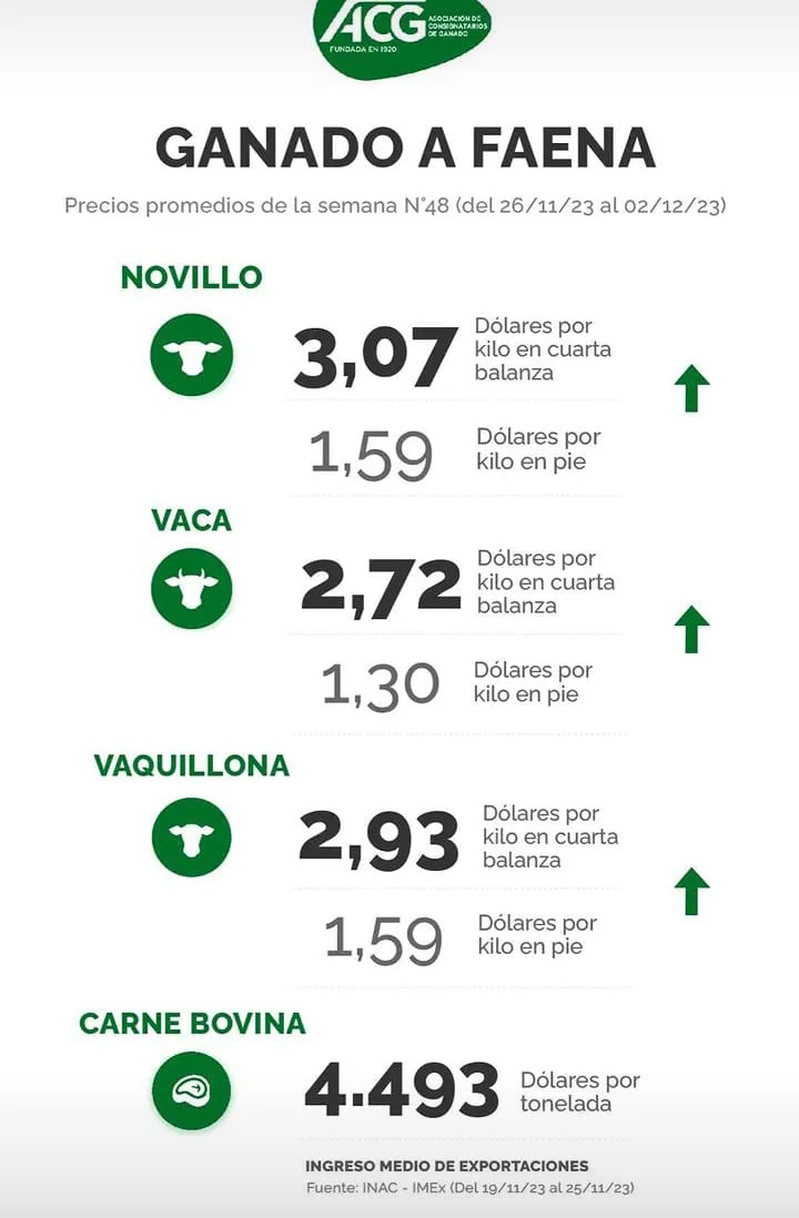 WhatsApp Image 2023-12-05 at 07.55.37