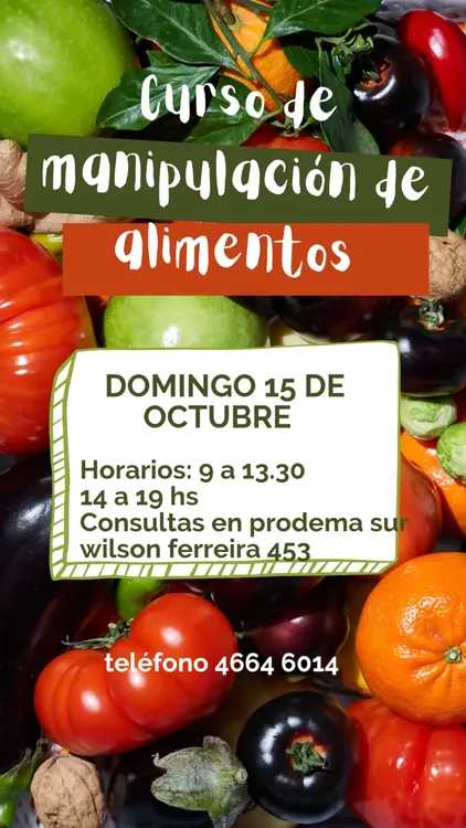 multimedia.grande.833741f6b4d03d1d.MzgwNTgwNDQ0XzMwMzU2NTMzNDk4OTk5NzNfMjM2MDRfZ3JhbmRlLndlYnA=