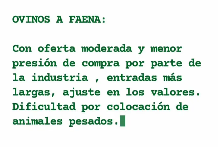 WhatsApp Image 2023-05-09 at 08.01.12 (1)