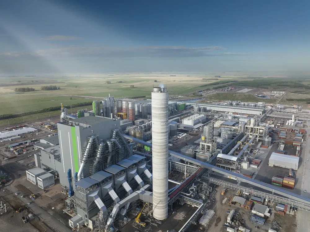 WhatsApp Image 2023-11-11 at 13.32.11