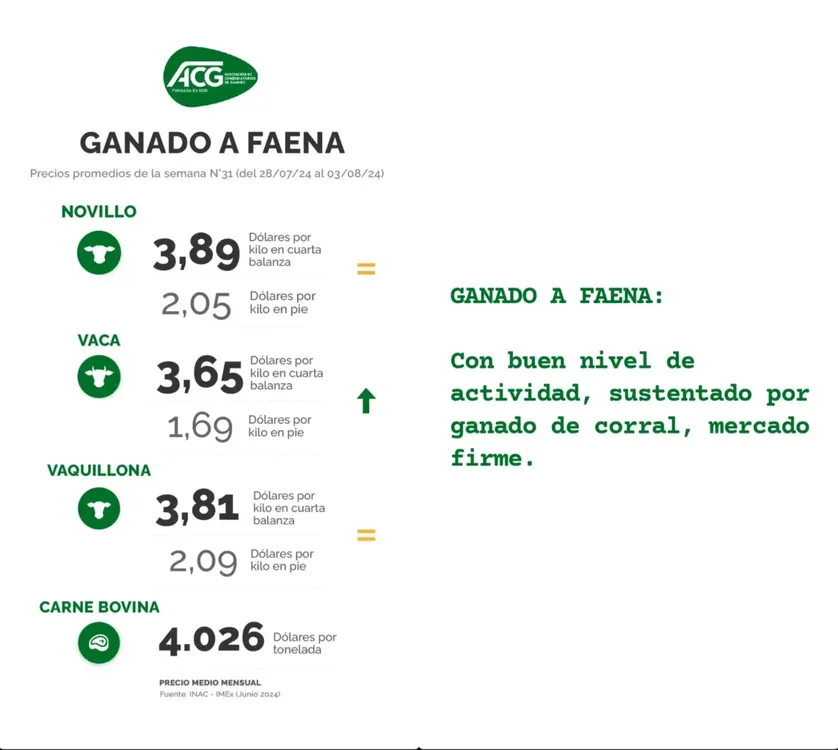 InShot_20240806_151139761