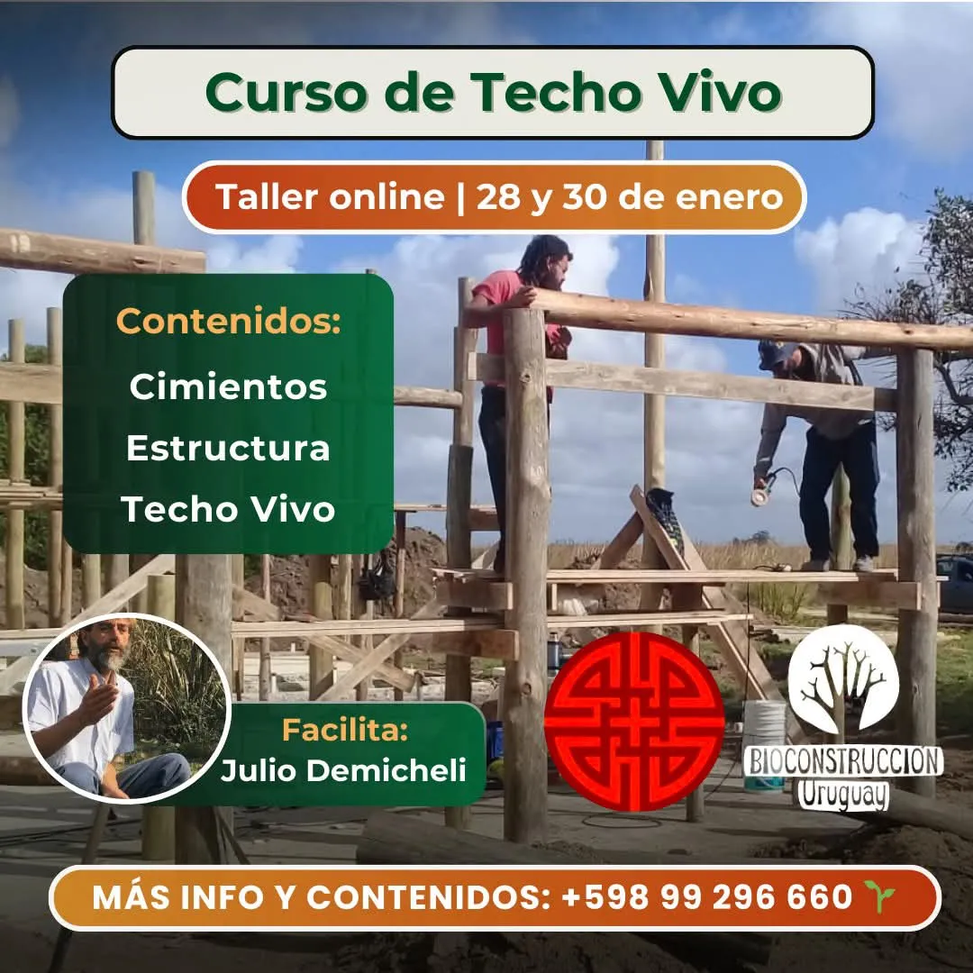 FB_IMG_1737720909270