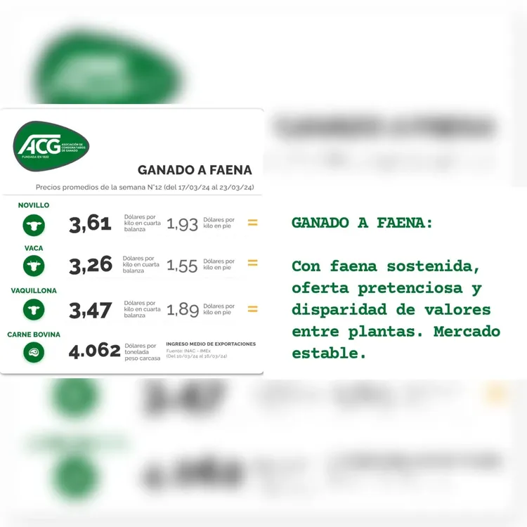 WhatsApp Image 2024-03-26 at 09.41.13