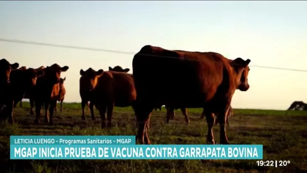 Screenshot_20251218_195629_Facebook