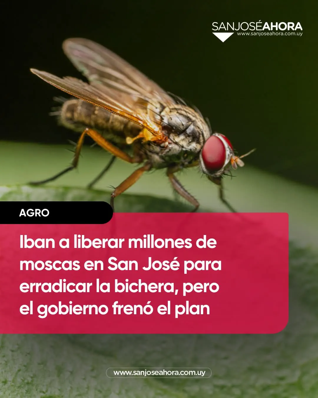 FB_IMG_1751152351504