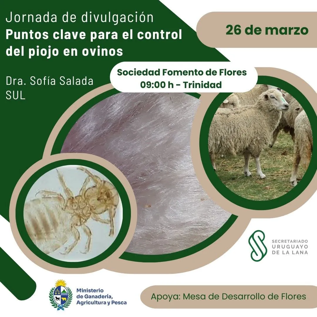 FB_IMG_1742146841944