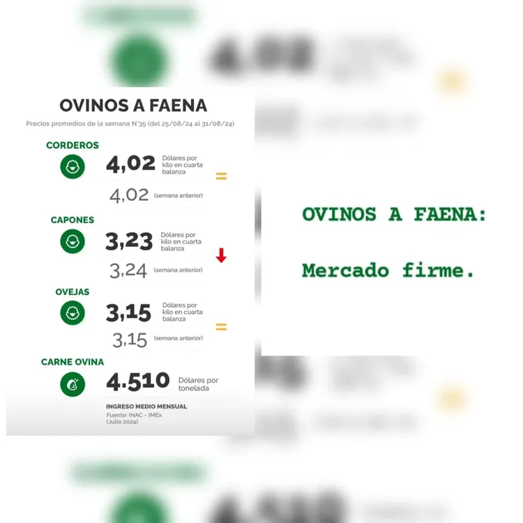 InShot_20240903_170452108