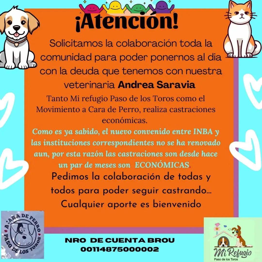 444975972_481248817587549_3655623741392746863_n