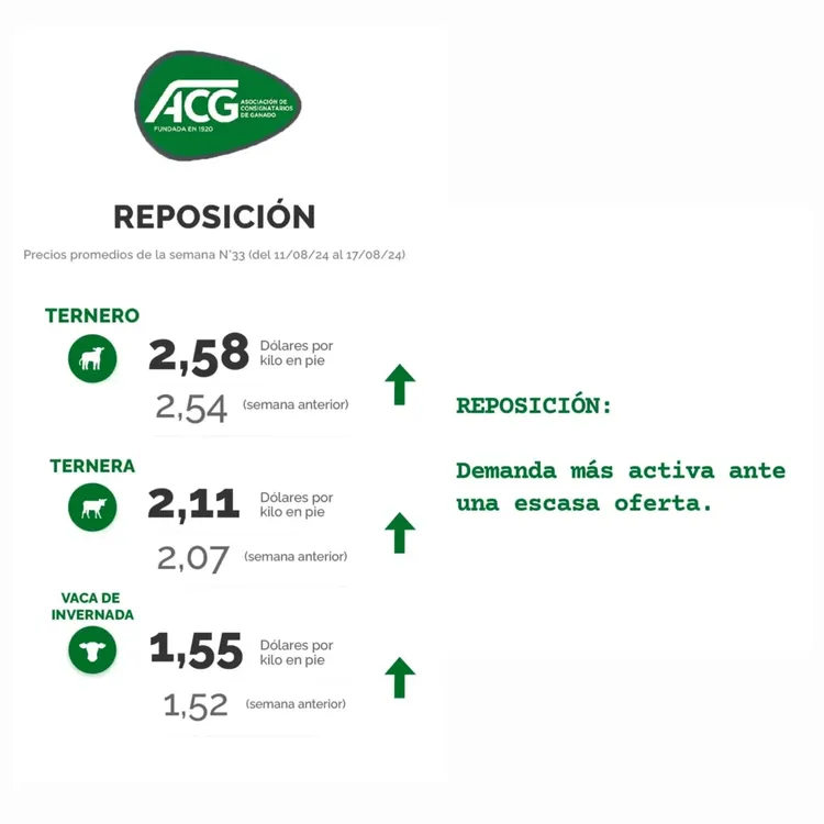 WhatsApp Image 2024-08-20 at 09.23.21 (1)