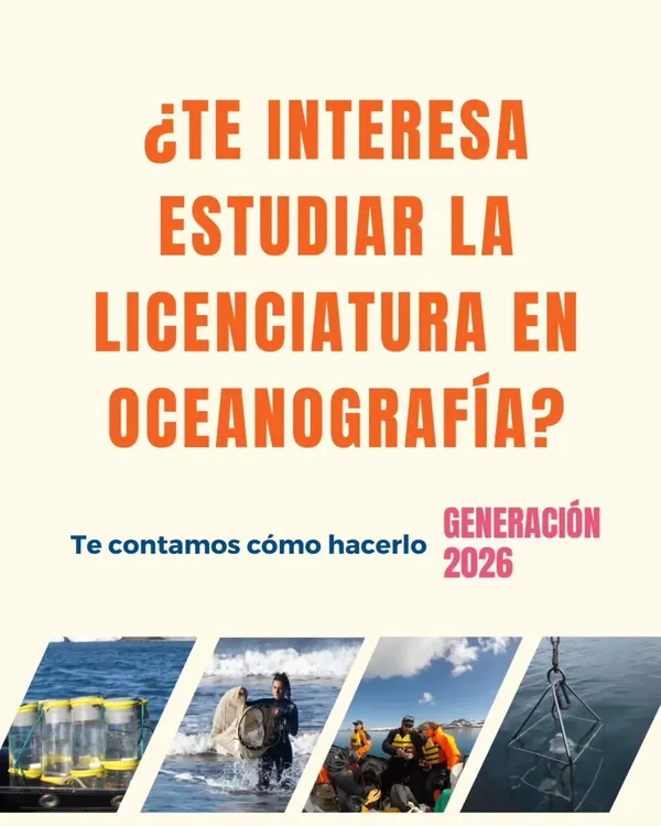 FB_IMG_1769452273647