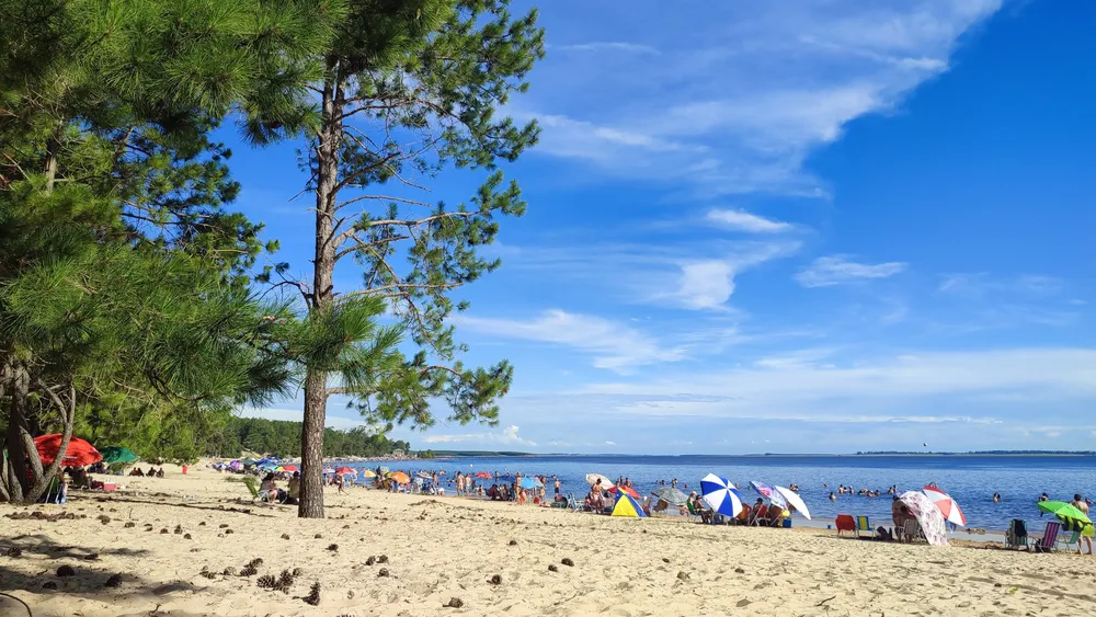 WhatsApp Image 2024-01-08 at 15.10.10