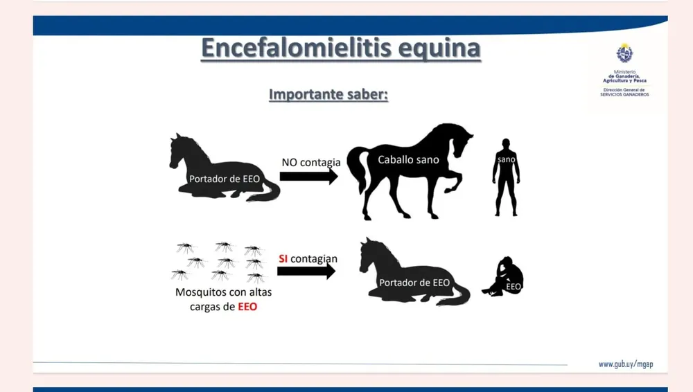 WhatsApp Image 2024-02-06 at 15.40.47