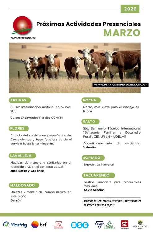 FB_IMG_1772229729701