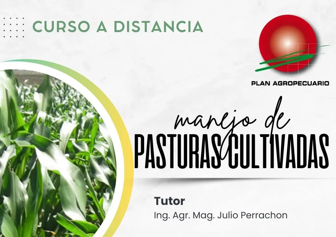 Screenshot_20250219_184507_Facebook