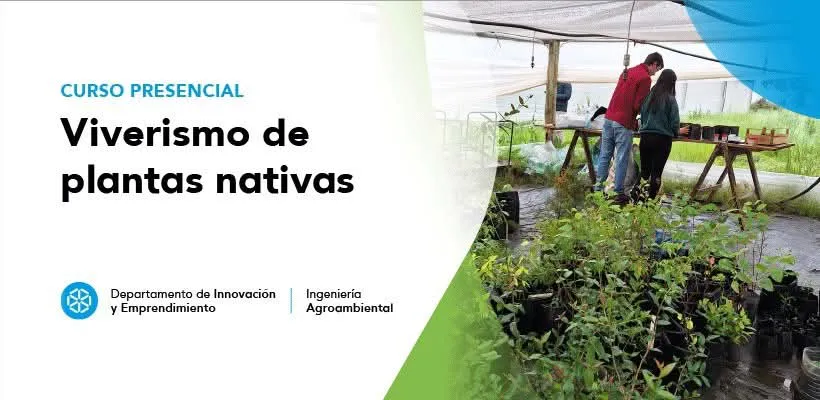 FB_IMG_1770152196739