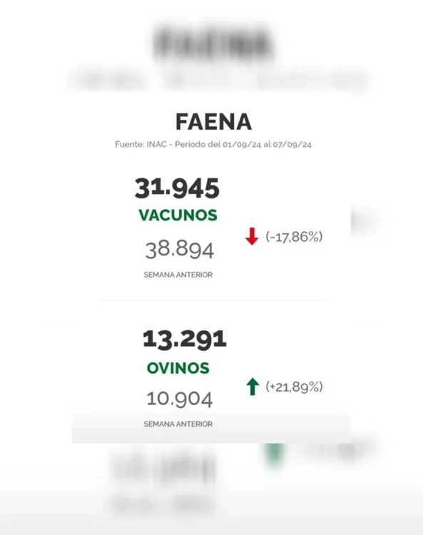 InShot_20240910_091718498