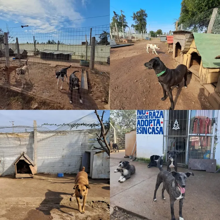 WhatsApp Image 2024-07-31 at 09.56.53