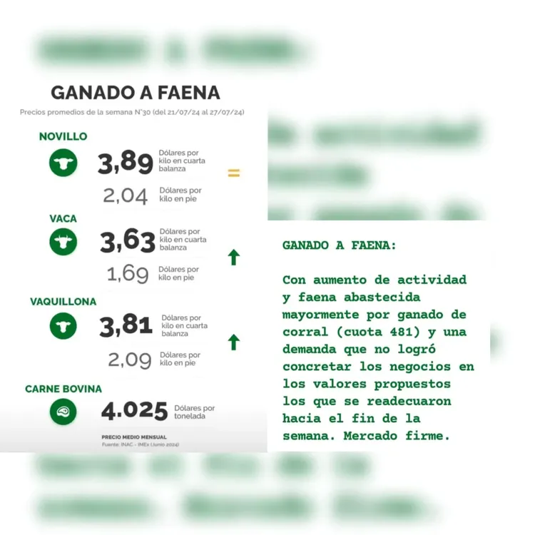 WhatsApp Image 2024-07-30 at 11.08.12