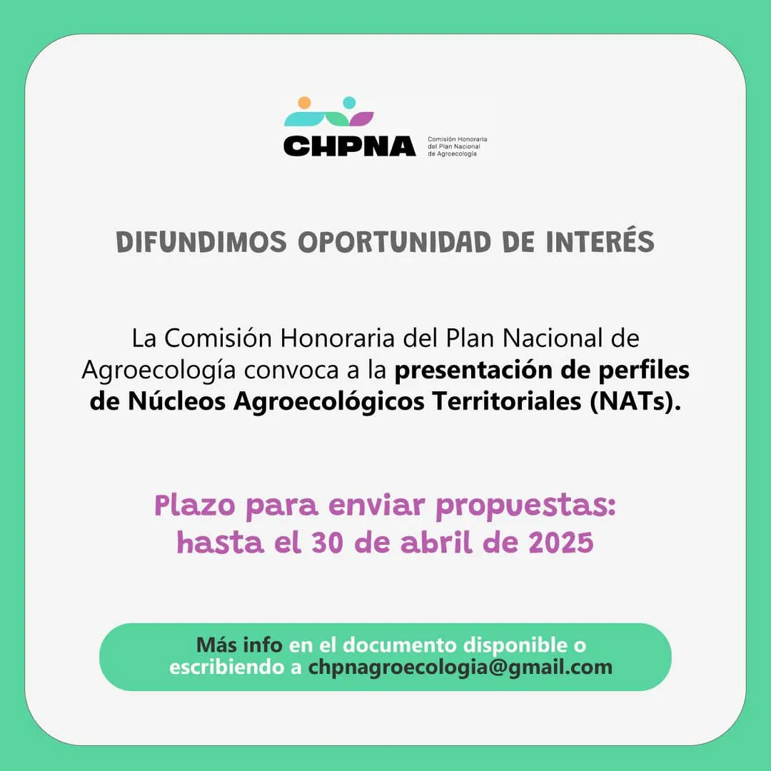 FB_IMG_1743986037928