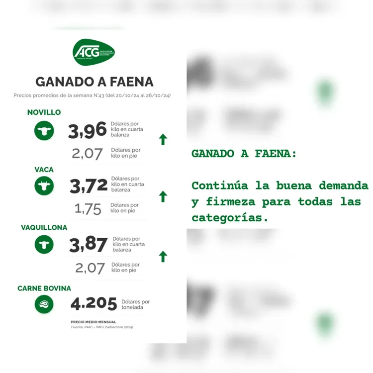 InShot_20241029_173200060