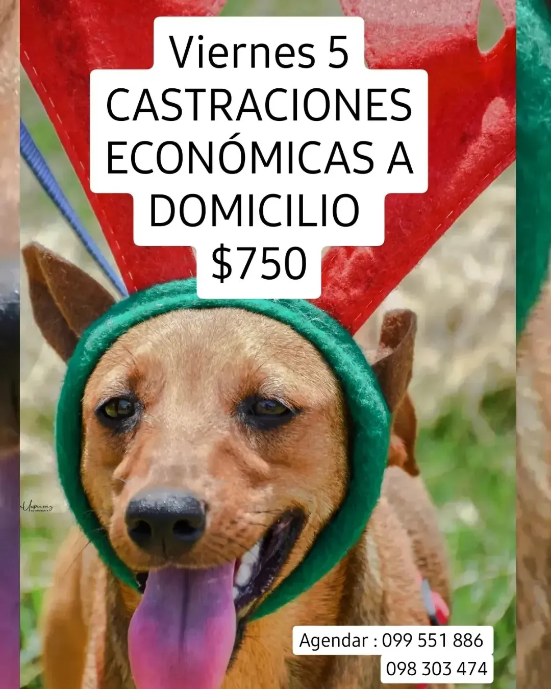 416094749_401990565513375_3610239058920444996_n