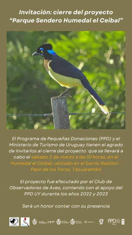 WhatsApp Image 2024-02-28 at 16.52.28