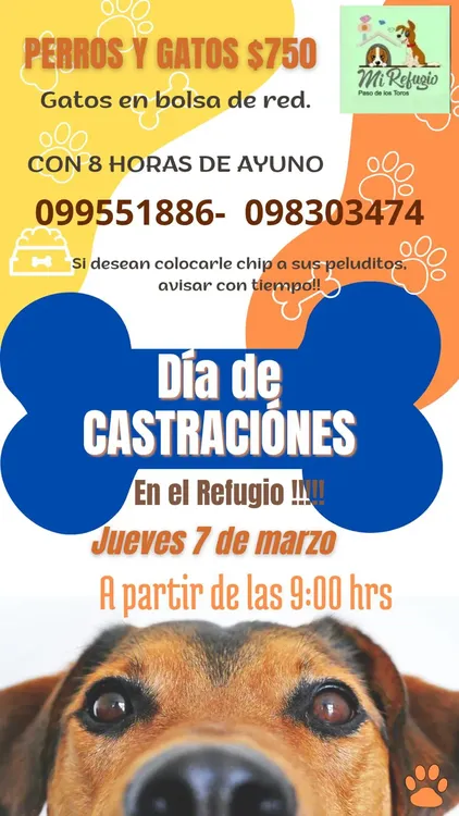 WhatsApp Image 2024-03-04 at 14.45.05