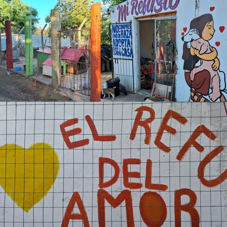 WhatsApp Image 2024-03-26 at 10.03.44 (1)