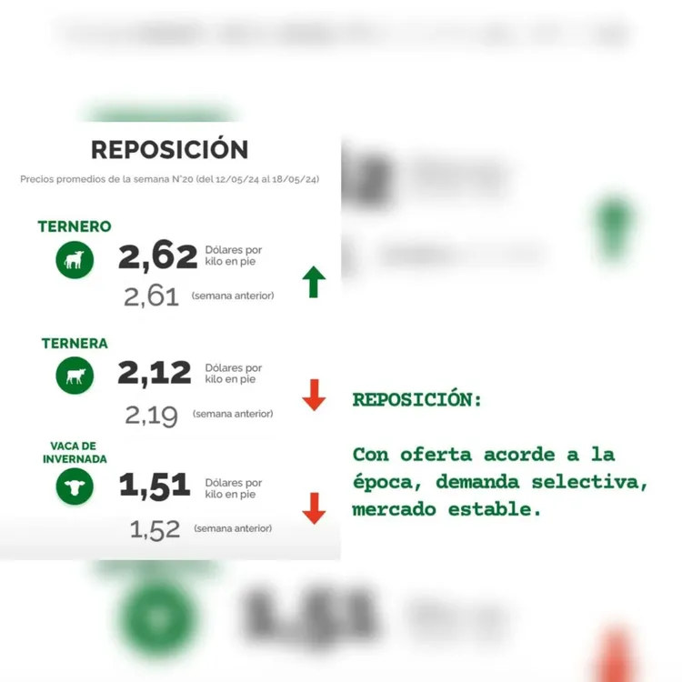 WhatsApp Image 2024-05-21 at 09.15.30 (1)