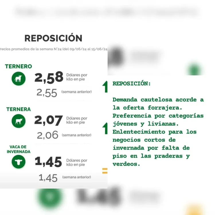 WhatsApp Image 2024-06-18 at 09.15.38 (2)