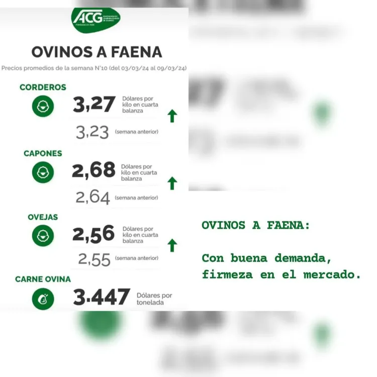 WhatsApp Image 2024-03-12 at 16.01.07