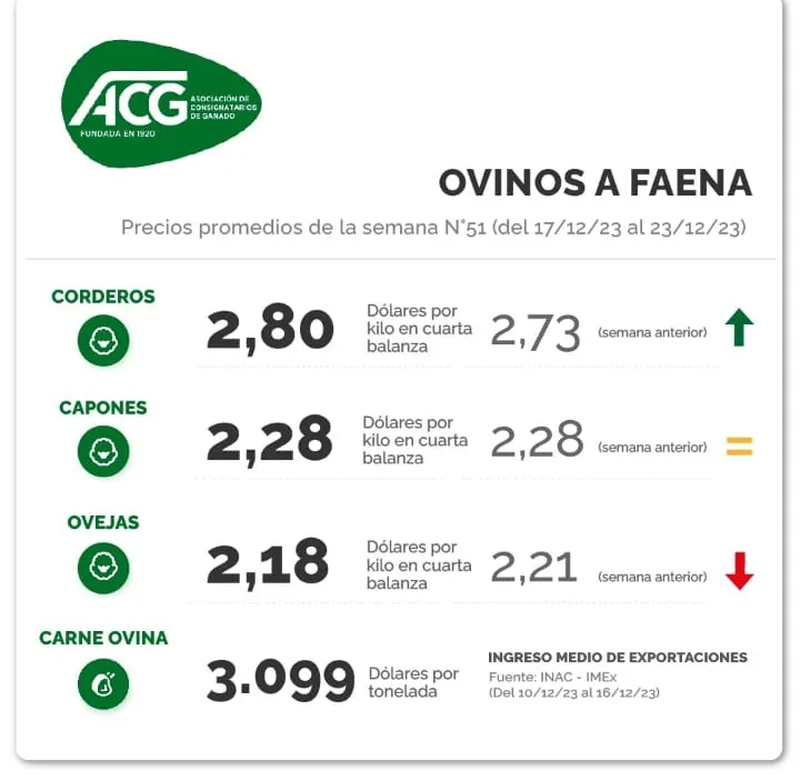 WhatsApp Image 2023-12-27 at 14.10.39