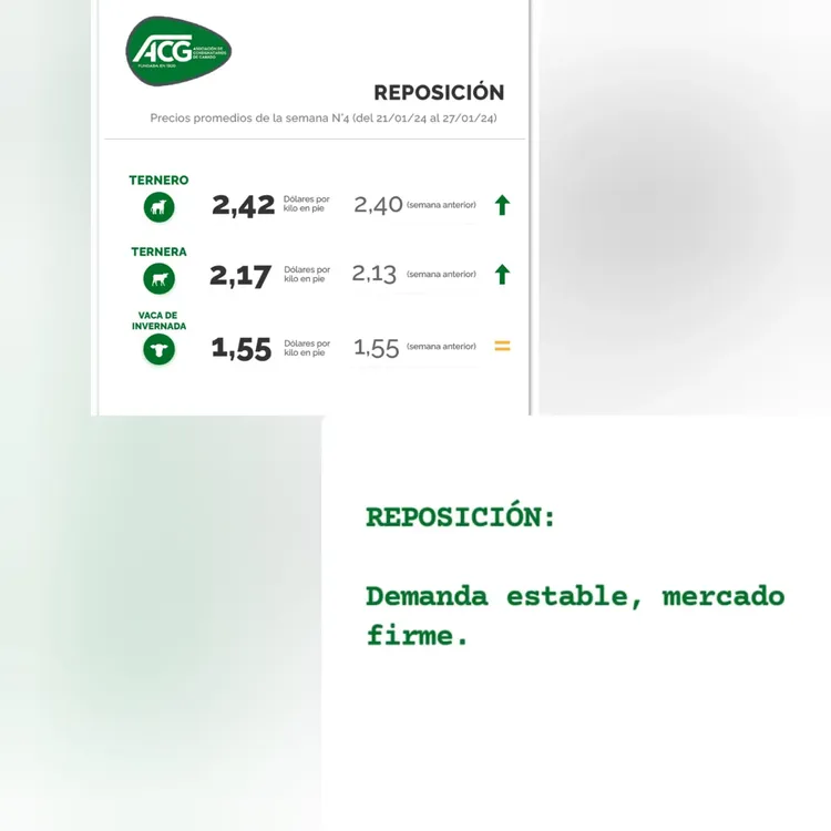 WhatsApp Image 2024-01-30 at 09.03.33