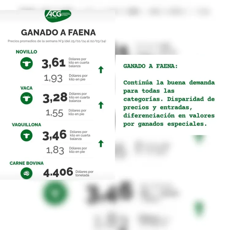 WhatsApp Image 2024-03-05 at 09.21.07