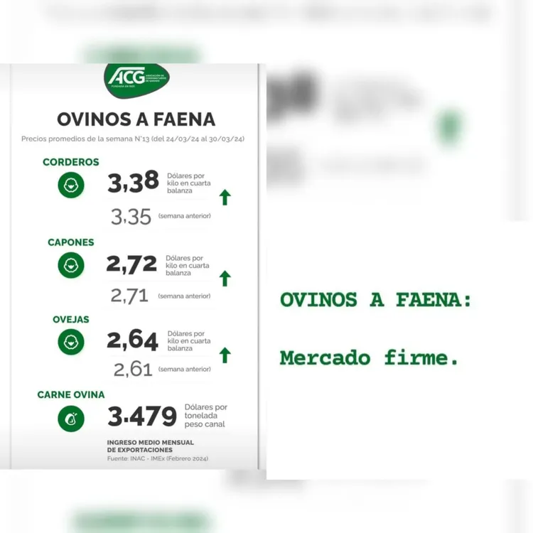 WhatsApp Image 2024-04-02 at 14.21.02 (1)