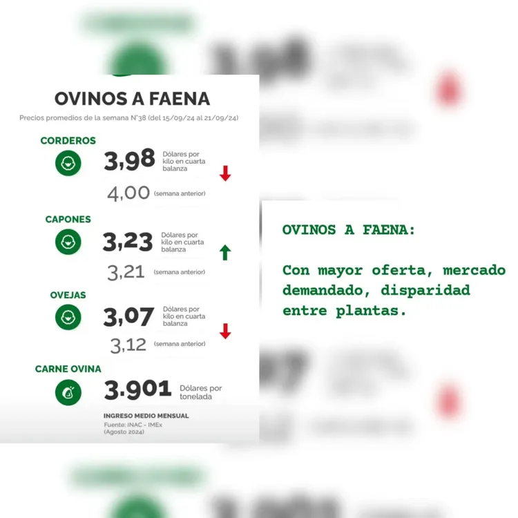 InShot_20240924_085012363