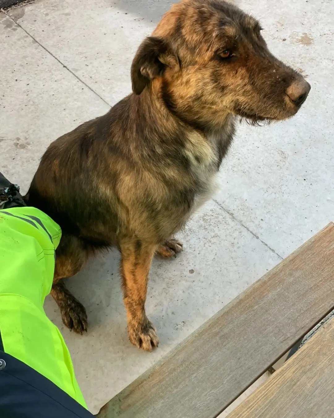 448351746_495951326117298_6476335737060159636_n