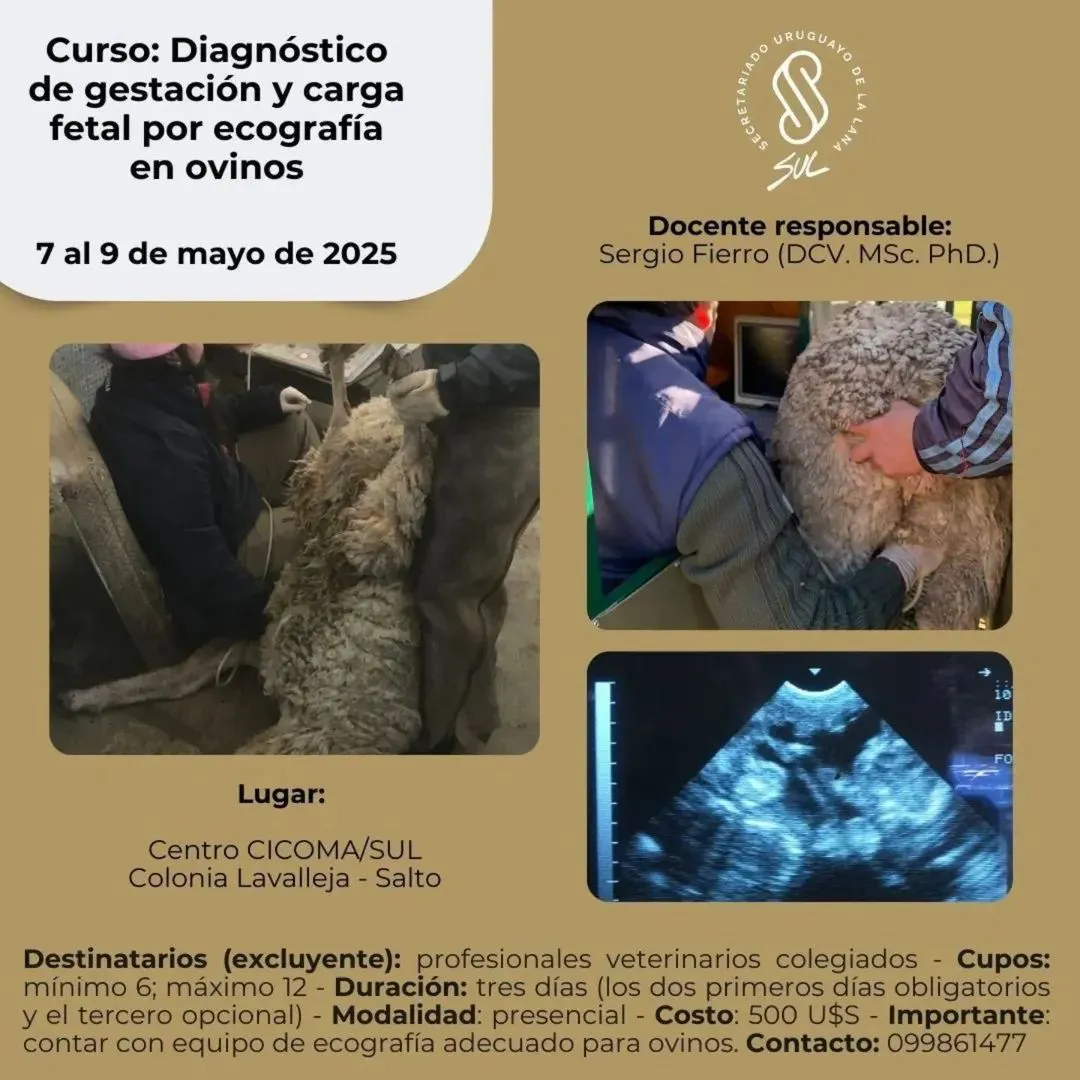 FB_IMG_1744049989957