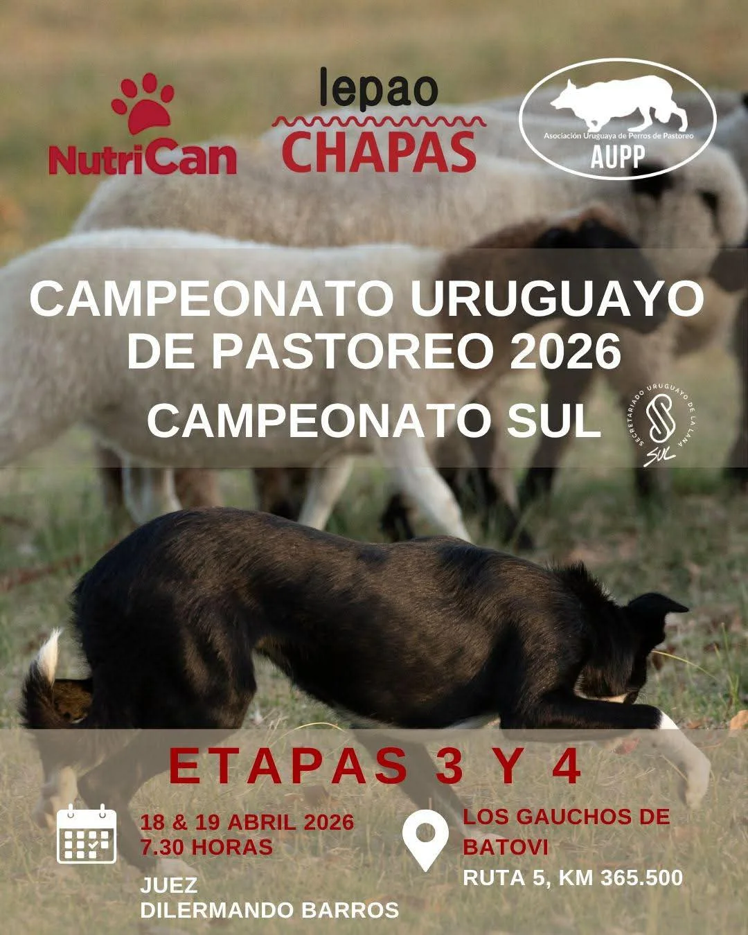 FB_IMG_1774038160250