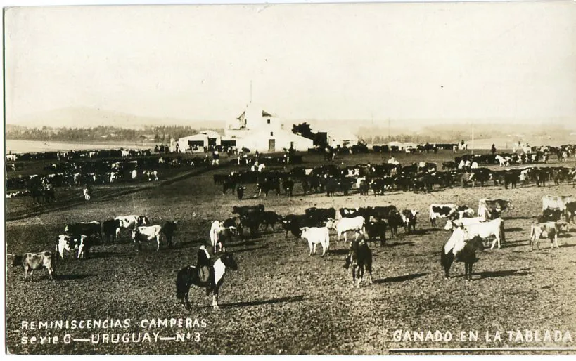 REMINISCENCIAS CAMPERAS N°8