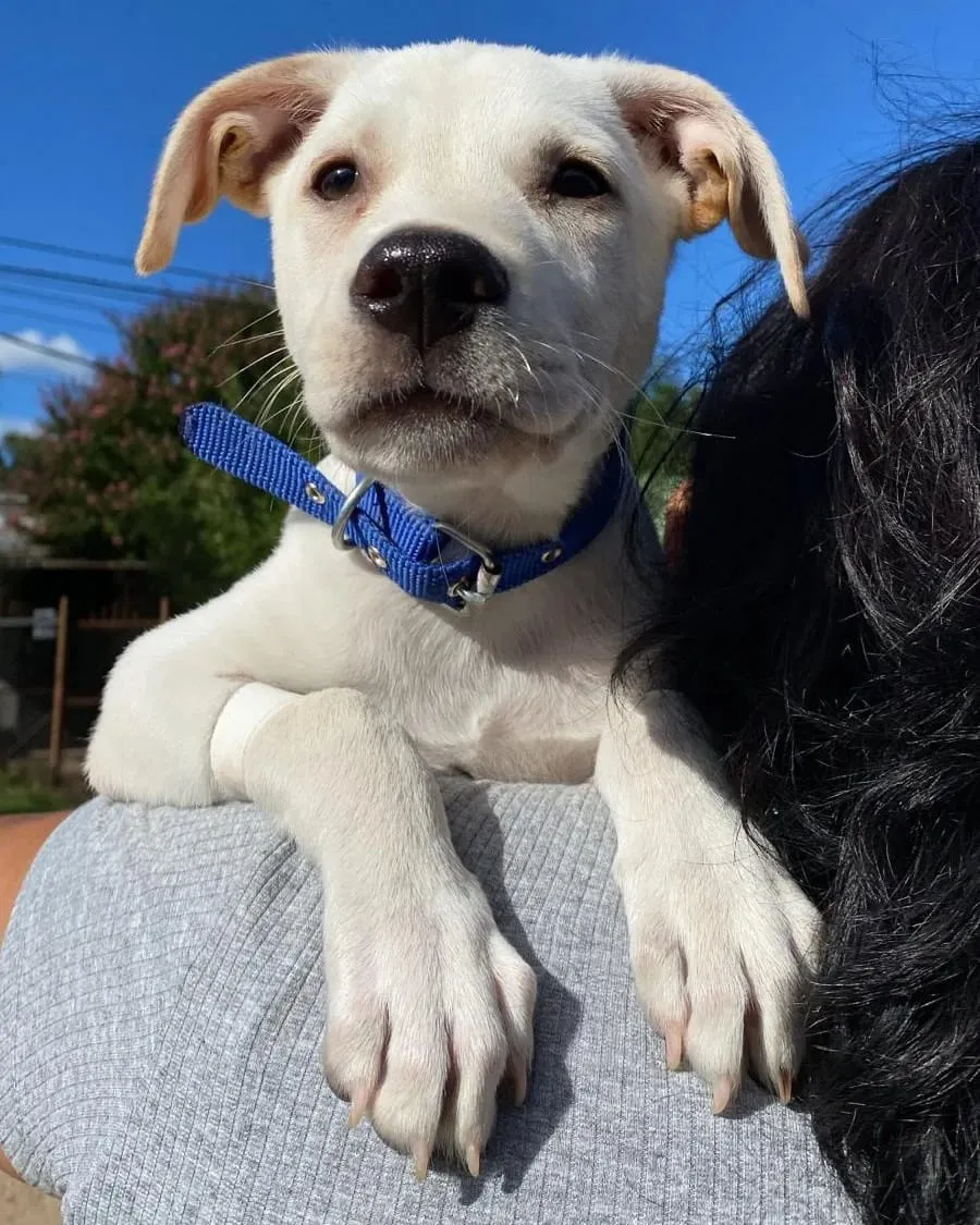 WhatsApp Image 2024-03-25 at 15.45.22